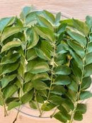 Fresh Curry Leaves (Tej Patti)  - 4 ounce per bag