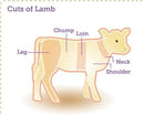 New Zealand Lamb Neck - 10 lb