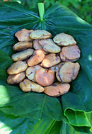 Chestnut (Ivy).  Product of Fiji